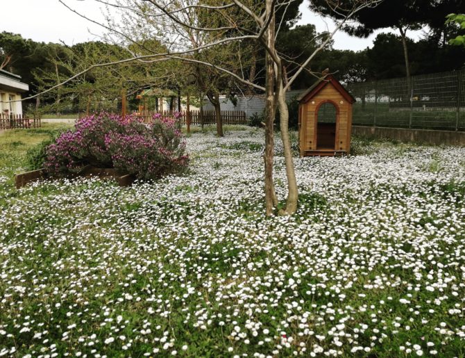 EMMETAG PER I PICCOLI