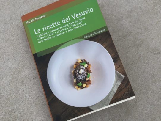 IL VESUVIO E LE SUE RICETTE DI VITA